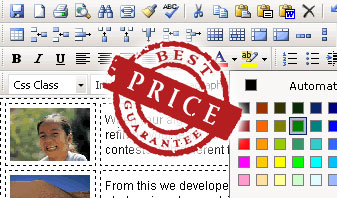 Design Your Site Inexpensively